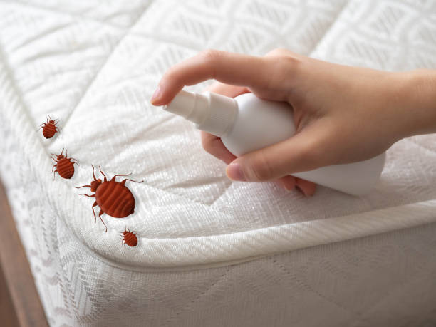 Professional Pest control in Williamsport, MD